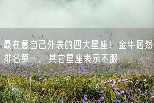 最在意自己外表的四大星座!金牛居然排名第一,其它星座表示不服(图1) 最在意自己外表的四大星座!金牛居然排名第一,其它星座表示不服(图1)