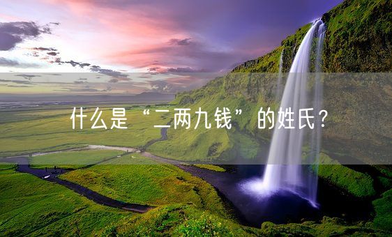 什么是“二两九钱”的姓氏?(图1) 什么是“二两九钱”的姓氏?(图1)