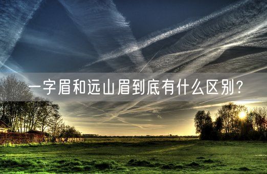 一字眉和远山眉到底有什么区别？(图1)