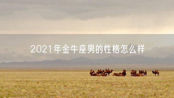 2021年金牛座男的性格怎么样(图1) 2021年金牛座男的性格怎么样(图1)