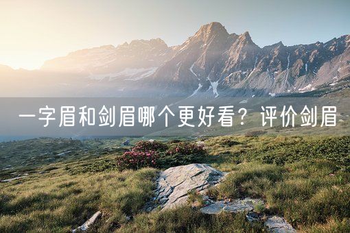 一字眉和剑眉哪个更好看?评价剑眉(图1) 一字眉和剑眉哪个更好看?评价剑眉(图1)