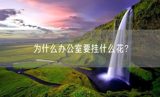 为什么办公室要挂什么花？(图1)