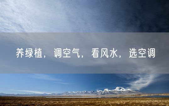 养绿植，调空气，看风水，选空调(图1)