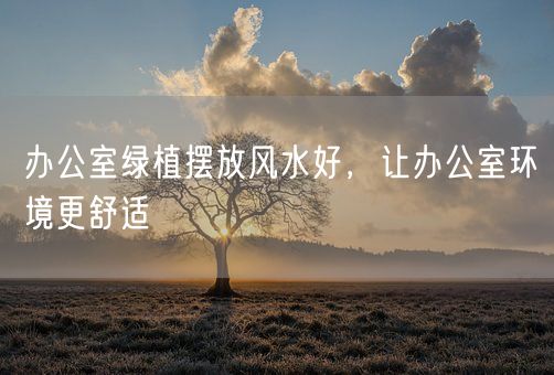 办公室绿植摆放风水好，让办公室环境更舒适(图1)