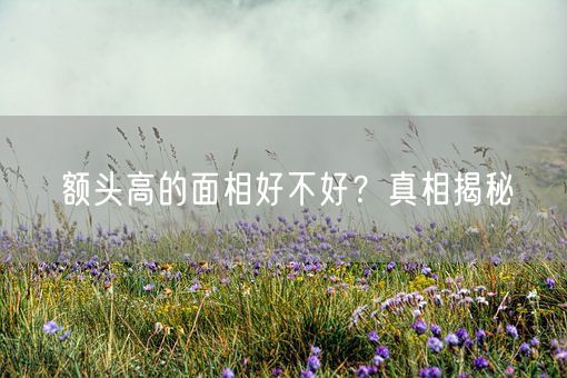 额头高的面相好不好？真相揭秘(图1)