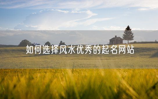 如何选择风水优秀的起名网站(图1)