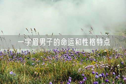 一字眉男子的命运和性格特点(图1)