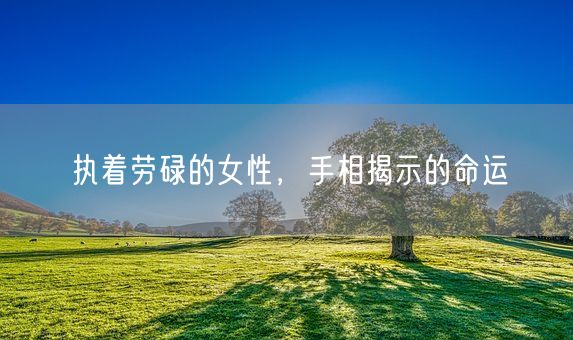 执着劳碌的女性,手相揭示的命运(图1) 执着劳碌的女性,手相揭示的命运(图1)