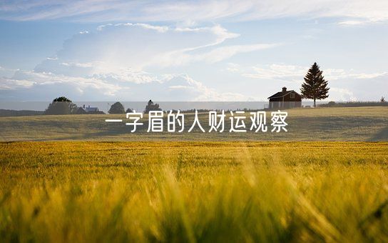 一字眉的人财运观察(图1) 一字眉的人财运观察(图1)