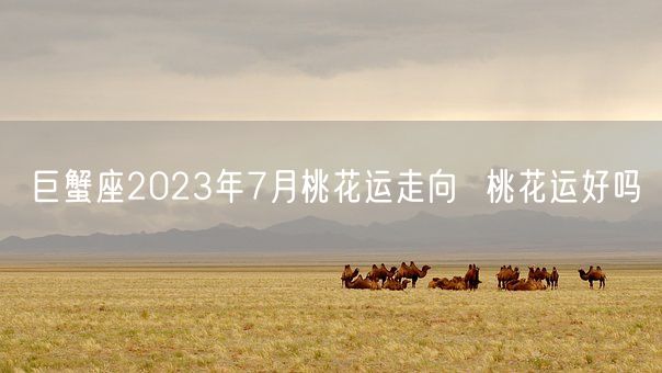 巨蟹座2023年7月桃花运走向  桃花运好吗(图1)
