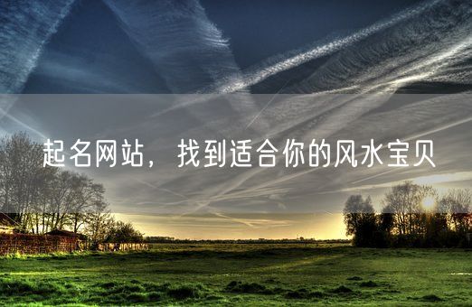 起名网站，找到适合你的风水宝贝(图1)