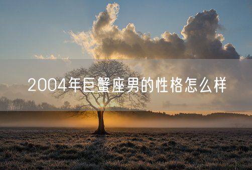 2004年巨蟹座男的性格怎么样(图1)