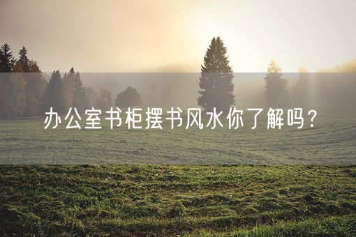 办公室书柜摆书风水你了解吗？(图1)