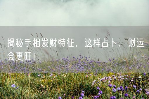 揭秘手相发财特征,这样占卜,财运会更旺!(图1) 揭秘手相发财特征,这样占卜,财运会更旺!(图1)