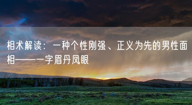 相术解读：一种个性刚强、正义为先的男性面相——一字眉丹凤眼(图1)