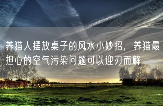养猫人摆放桌子的风水小妙招，养猫最担心的空气污染问题可以迎刃而解(图1)