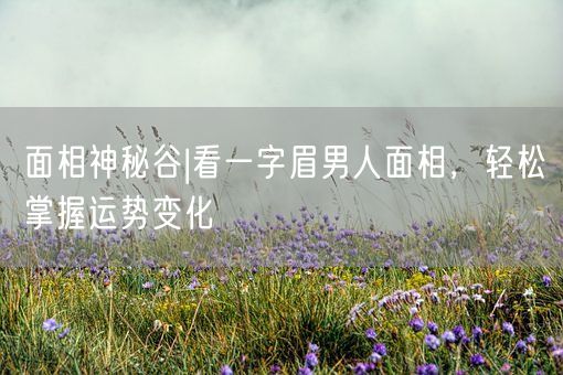 面相神秘谷|看一字眉男人面相，轻松掌握运势变化(图1)