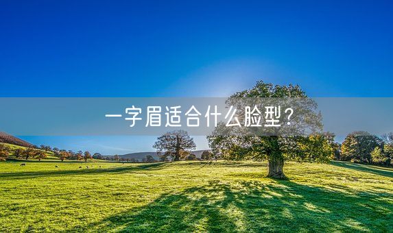 一字眉适合什么脸型?(图1) 一字眉适合什么脸型?(图1)