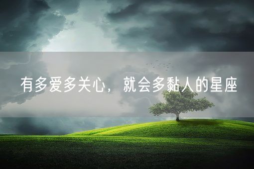 有多爱多关心,就会多黏人的星座(图1) 有多爱多关心,就会多黏人的星座(图1)