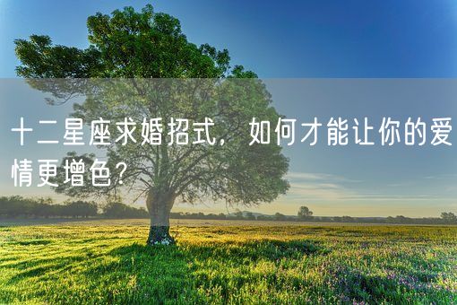 十二星座求婚招式，如何才能让你的爱情更增色？(图1)