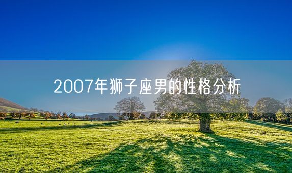 2007年狮子座男的性格分析(图1)