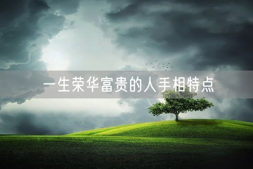 一生荣华富贵的人手相特点(图1) 一生荣华富贵的人手相特点(图1)