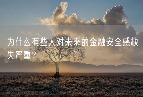 为什么有些人对未来的金融安全感缺失严重?(图1) 为什么有些人对未来的金融安全感缺失严重?(图1)