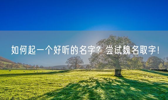 如何起一个好听的名字?尝试魏名取字!(图1) 如何起一个好听的名字?尝试魏名取字!(图1)