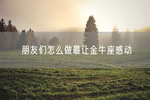 朋友们怎么做最让金牛座感动(图1) 朋友们怎么做最让金牛座感动(图1)