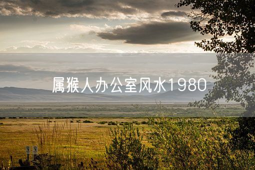 属猴人办公室风水1980(图1)