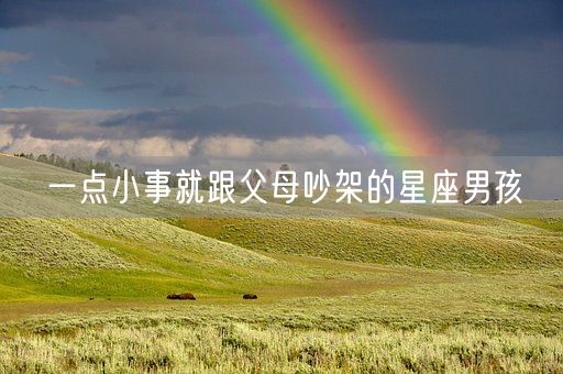 一点小事就跟父母吵架的星座男孩(图1) 一点小事就跟父母吵架的星座男孩(图1)