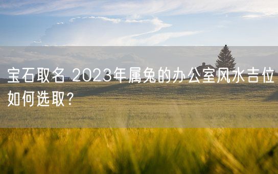 宝石取名 2023年属兔的办公室风水吉位如何选取？(图1)