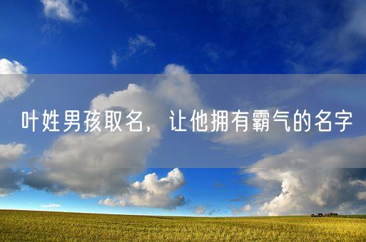叶姓男孩取名,让他拥有霸气的名字(图1) 叶姓男孩取名,让他拥有霸气的名字(图1)