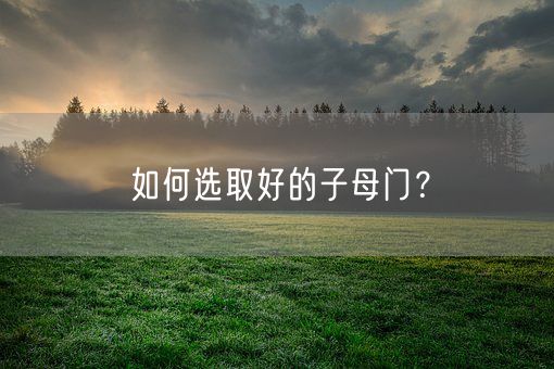 如何选取好的子母门？(图1)