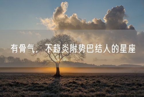 有骨气,不趋炎附势巴结人的星座(图1) 有骨气,不趋炎附势巴结人的星座(图1)