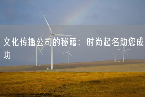 文化传播公司的秘籍：时尚起名助您成功(图1)