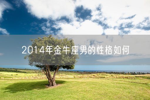 2014年金牛座男的性格如何(图1)