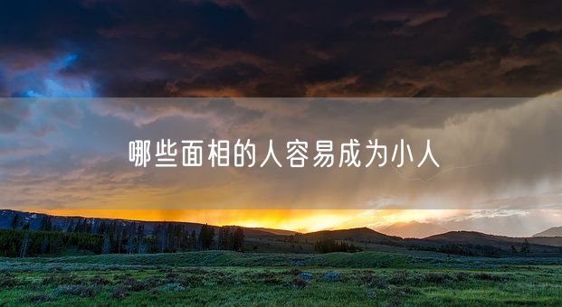 哪些面相的人容易成为小人(图1) 哪些面相的人容易成为小人(图1)