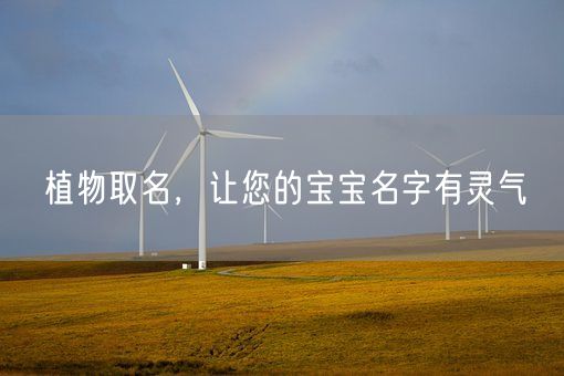 植物取名，让您的宝宝名字有灵气(图1)