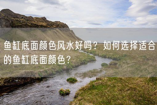 鱼缸底面颜色风水好吗？如何选择适合的鱼缸底面颜色？(图1)