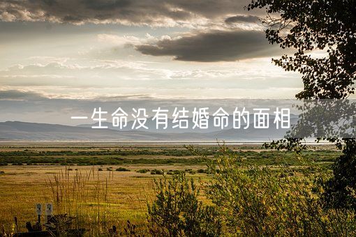 一生命没有结婚命的面相(图1) 一生命没有结婚命的面相(图1)
