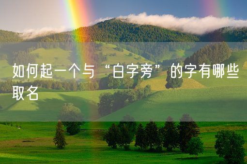 如何起一个与“白字旁”的字有哪些取名(图1)