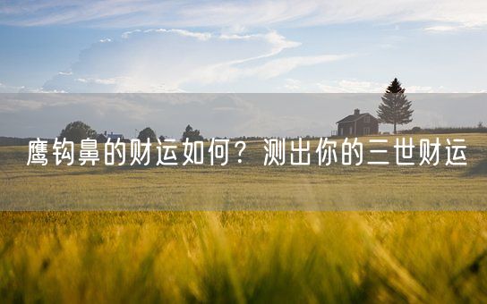 鹰钩鼻的财运如何?测出你的三世财运(图1) 鹰钩鼻的财运如何?测出你的三世财运(图1)