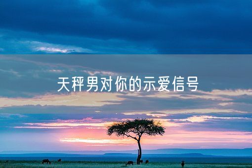 天秤男对你的示爱信号(图1)
