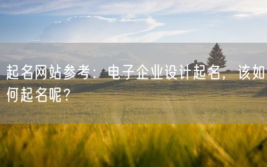 起名网站参考：电子企业设计起名，该如何起名呢？(图1)