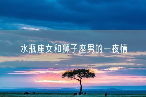 水瓶座女和狮子座男的一夜情(图1)