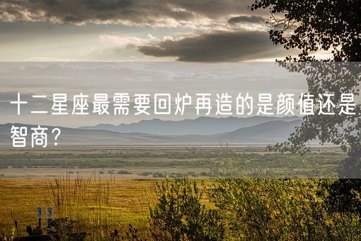 十二星座最需要回炉再造的是颜值还是智商?(图1) 十二星座最需要回炉再造的是颜值还是智商?(图1)