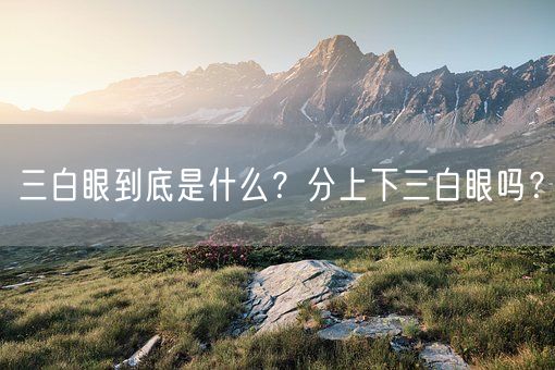 三白眼到底是什么?分上下三白眼吗?(图1) 三白眼到底是什么?分上下三白眼吗?(图1)