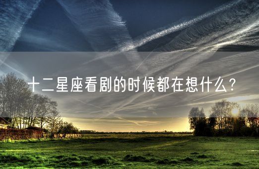 十二星座看剧的时候都在想什么？(图1)