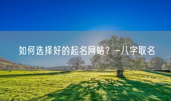 如何选择好的起名网站？-八字取名(图1)